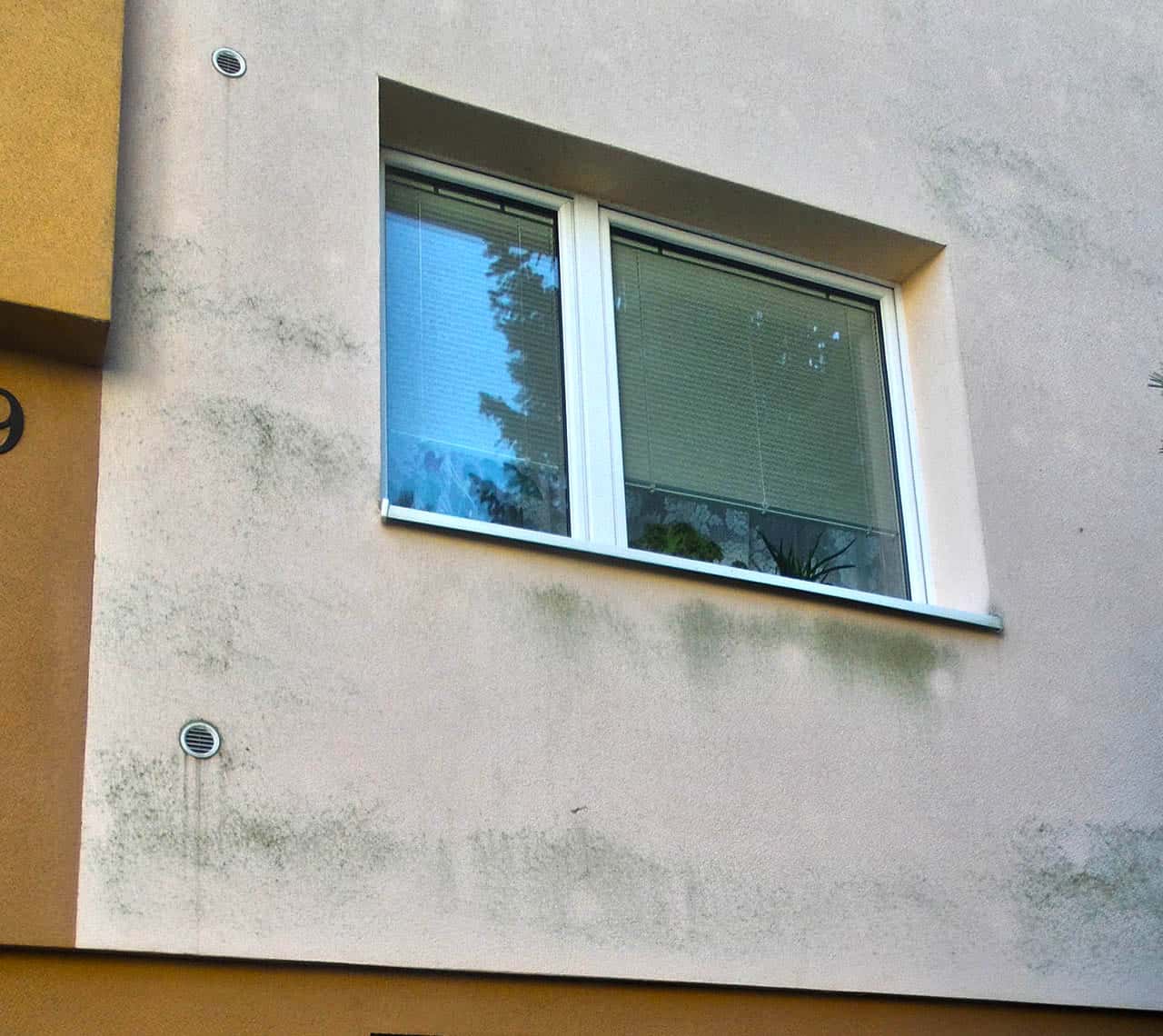 Trápia vás plesne a riasy na zateplených fasádach?