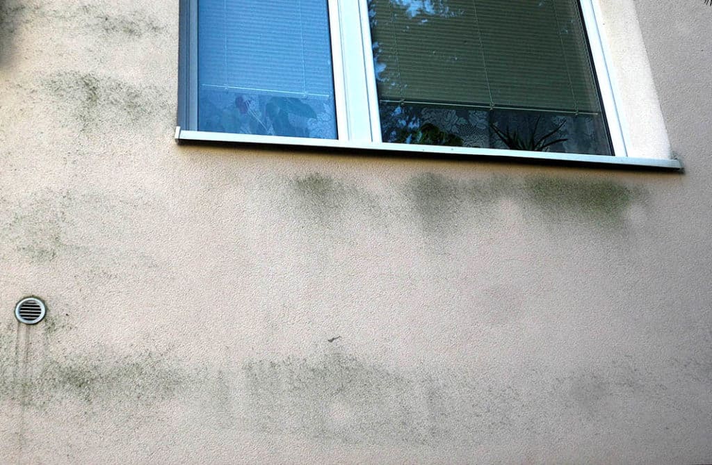 Pleseň na fasáde