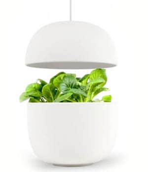 Plantui 3 Smart - pestovanie zeleniny bez pôdy