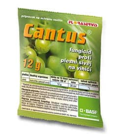 Cantus - pleseň na kvetoch