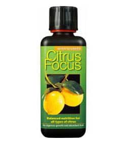Citrus Focus hnojivo - citrusy