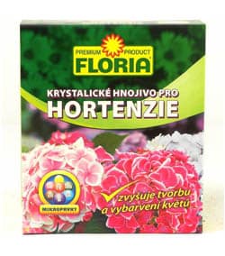 Floria - hortenzia