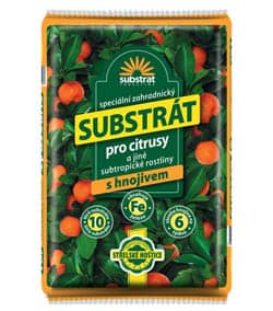 Forestina substrát
