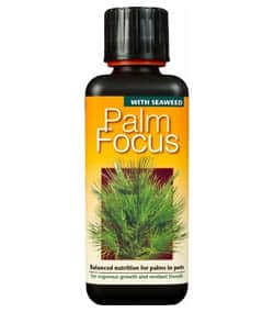 Hnojivo Palm Focus