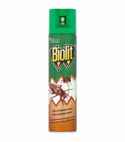 Biolit - mravce v byte