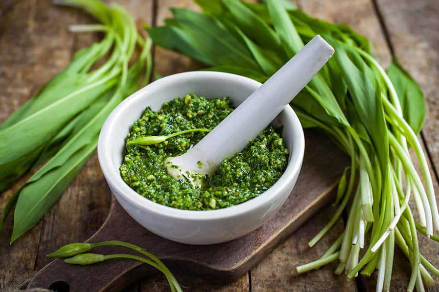 Medvedí cesnak - pesto