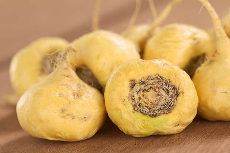 Maca peruánska