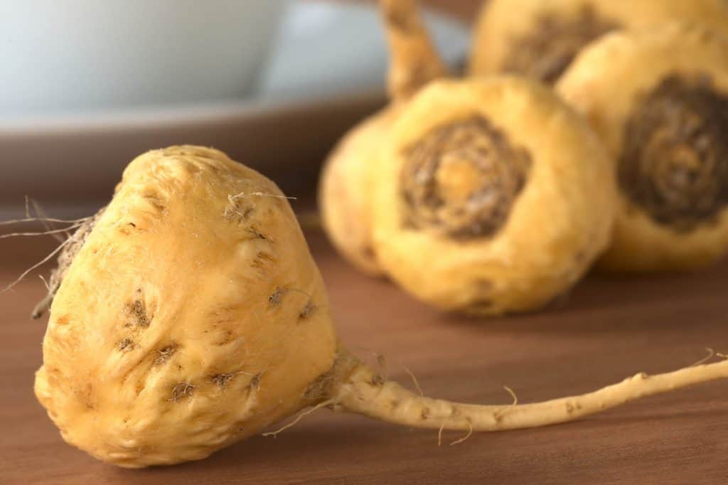 Maca peruánska