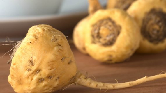 Maca peruánska