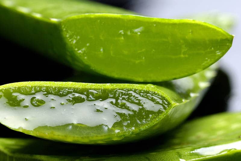 Aloe vera gél