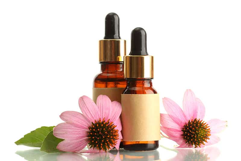 Echinacea - tinktúra