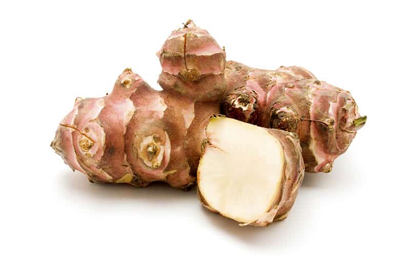 Topinambur - slnečnica
